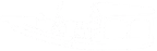 boat icon